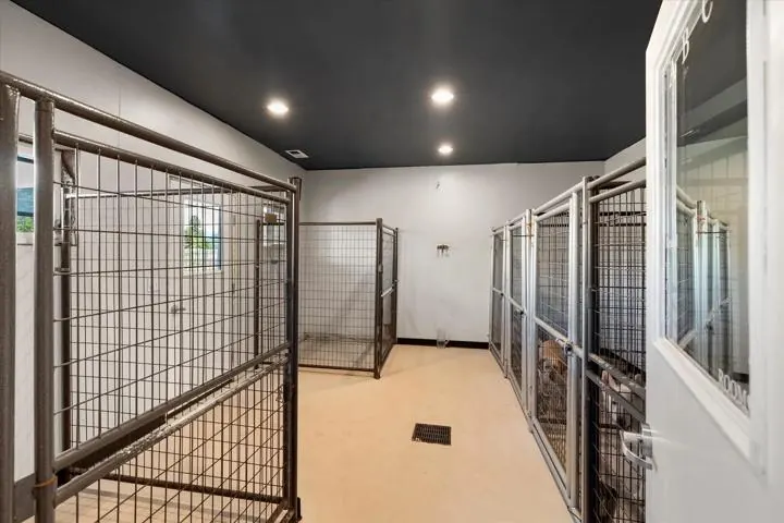 One of the six separate dog rooms, with roomy individual kennels.
