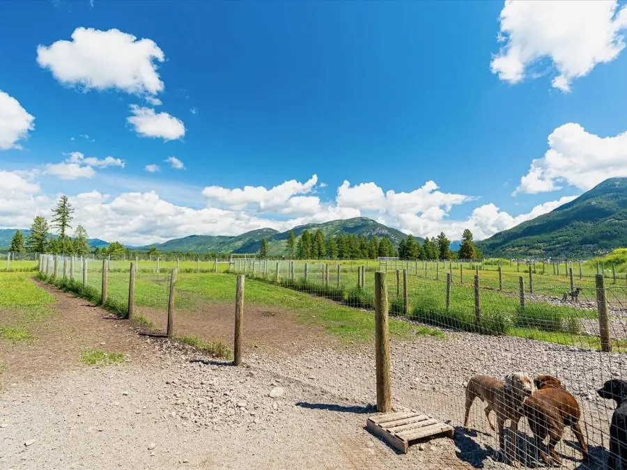 Dogs together at the fence line of a ranch yard, mountains beyond.