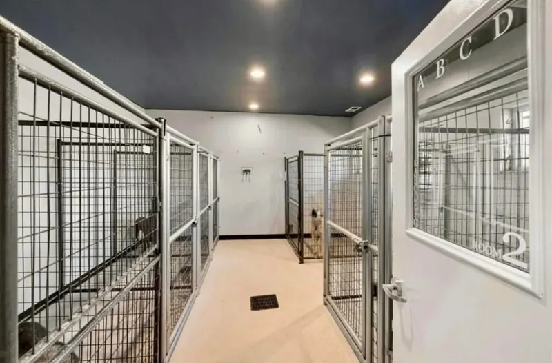 A clean, climate-controlled indoor kennel room at the ranch, with roomy individual kennels along the aisle.