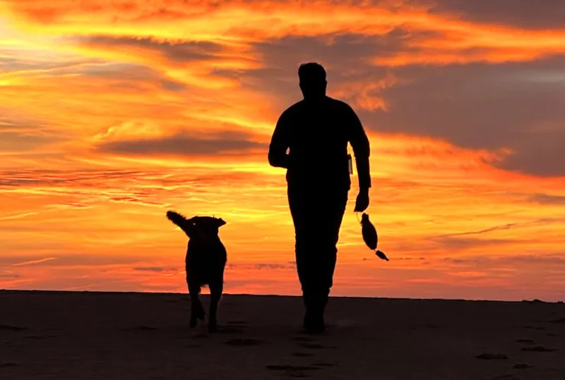Matthew and his dog walking together in silhouette against a vivid sunset.
